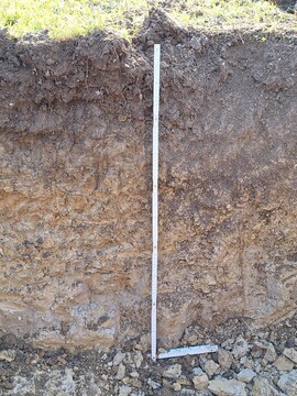 profil tal, avtor fotografije: Anja Bevc, KGZS – Zavod Ljubljana